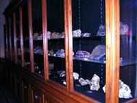 une vitrine du musée